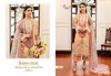 Queens Court Vol 2 By Shree Embroidery Cotton Pakistani Suits Wholesale Shop In Surat